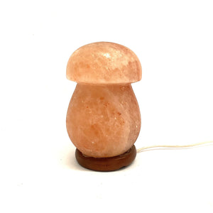 Lampada di sale dell'Himalaya modello a fungo