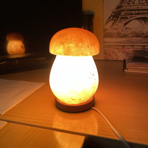 Lampada di sale dell'Himalaya modello a fungo