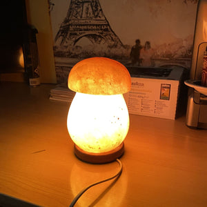 Lampada di sale dell'Himalaya modello a fungo