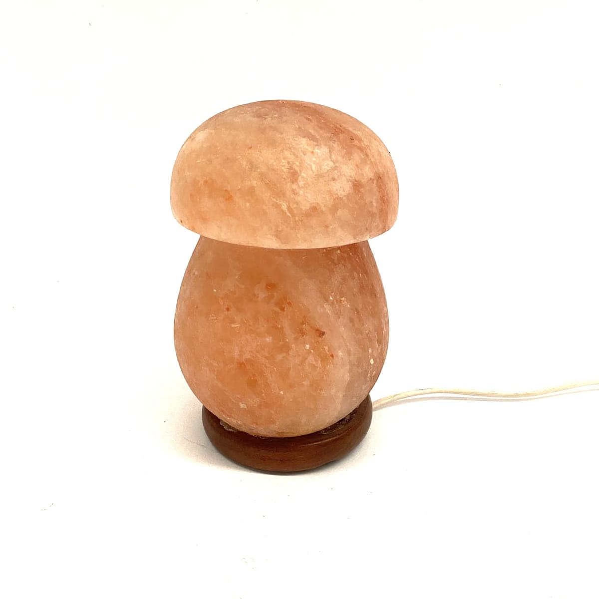 Lampada di sale dell'Himalaya modello a fungo