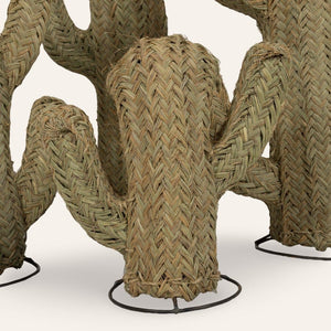 cactus esparto vegetal  40cm