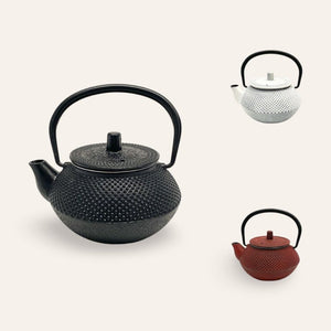 tetera japonesa hierro 300ml